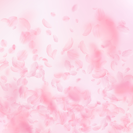 Sakura petals falling down. Romantic pink flowers gradient. Flying petals on pink square background. Love, romance concept. Decent wedding invitation.のイラスト素材