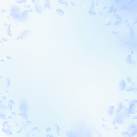 Light blue flower petals falling down. Enchanting romantic flowers vignette. Flying petal on blue sky square background. Love, romance concept. Creative wedding invitation.のイラスト素材