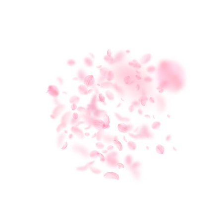 Sakura petals falling down. Romantic pink flowers explosion. Flying petals on white square background. Love, romance concept. Fantastic wedding invitation.のイラスト素材