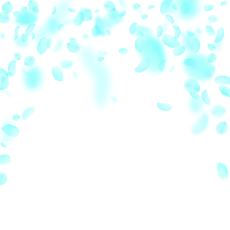 Turquoise flower petals falling down. Amusing romantic flowers falling rain. Flying petal on white square background. Love, romance concept. Beauteous wedding invitation.のイラスト素材
