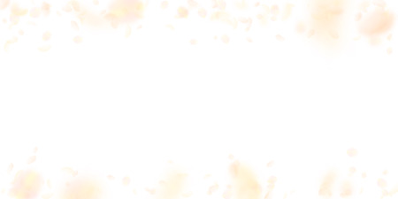 Yellow orange flower petals falling down. Great romantic flowers falling rain. Flying petal on white wide background. Love, romance concept. Delightful wedding invitation.のイラスト素材