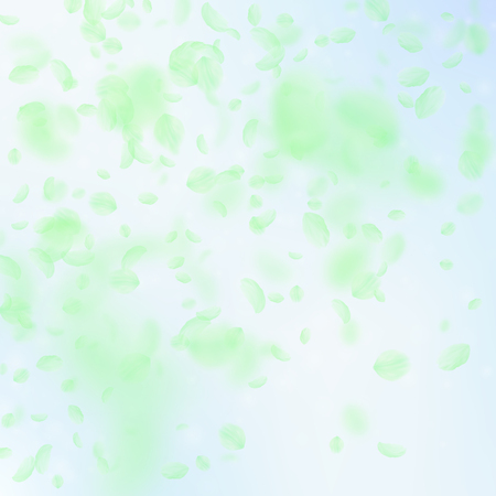 Green flower petals falling down. Vibrant romantic flowers gradient. Flying petal on blue sky square background. Love, romance concept. Classy wedding invitation.のイラスト素材