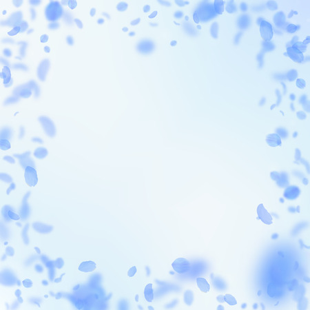 Dark blue flower petals falling down. Juicy romantic flowers frame. Flying petal on blue sky square background. Love, romance concept. Bizarre wedding invitation.のイラスト素材