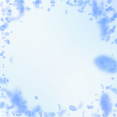 Dark blue flower petals falling down. Fascinating romantic flowers vignette. Flying petal on blue sky square background. Love, romance concept. Creative wedding invitation.のイラスト素材