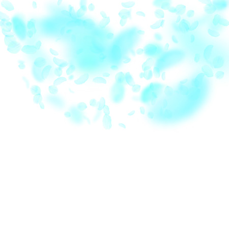 Turquoise flower petals falling down. Graceful romantic flowers semicircle. Flying petal on white square background. Love, romance concept. Cool wedding invitation.のイラスト素材