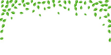 Falling green leaves. Fresh tea random leaves flying. Spring foliage dancing on white background. Amusing summer overlay template. Delightful spring sale vector illustration.のイラスト素材
