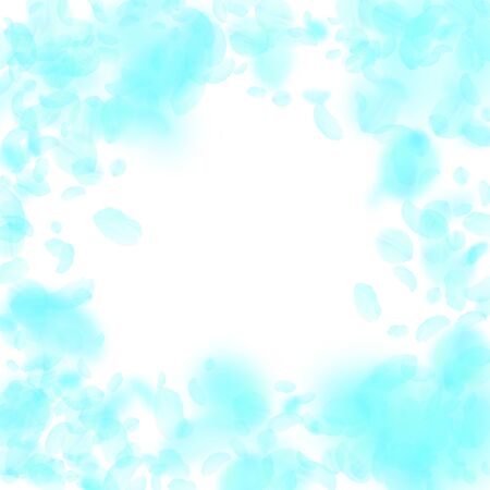 Turquoise flower petals falling down. Beauteous romantic flowers vignette. Flying petal on white square background. Love, romance concept. Dazzling wedding invitation.のイラスト素材