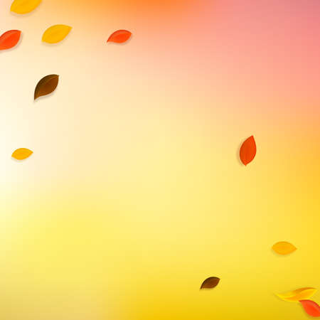 Falling autumn leaves. Red, yellow, green, brown chaotic leaves flying. Corner colorful foliage on immaculate sunset background. Bold back to school sale.のイラスト素材