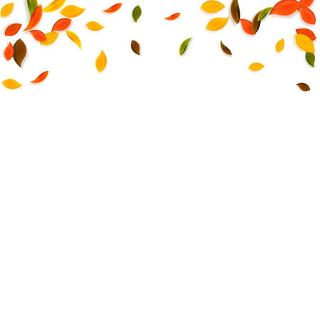 Falling autumn leaves. Red, yellow, green, brown chaotic leaves flying. Gradient colorful foliage on splendid white background. Breathtaking back to school sale.のイラスト素材