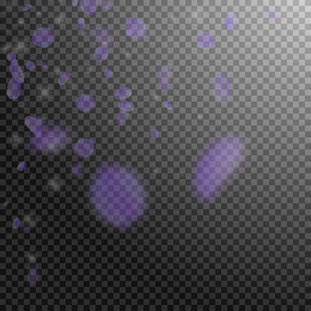 Violet flower petals falling down. Precious romantic flowers corner. Flying petal on transparent square background. Love, romance concept. Amazing wedding invitation.のイラスト素材