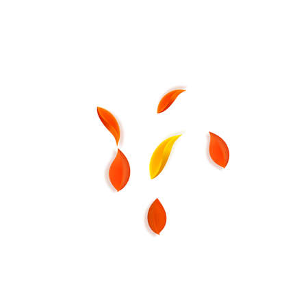 Falling autumn leaves. Red, yellow, green, brown neat leaves flying. Explosion colorful foliage on bizarre white background. Authentic back to school sale.のイラスト素材