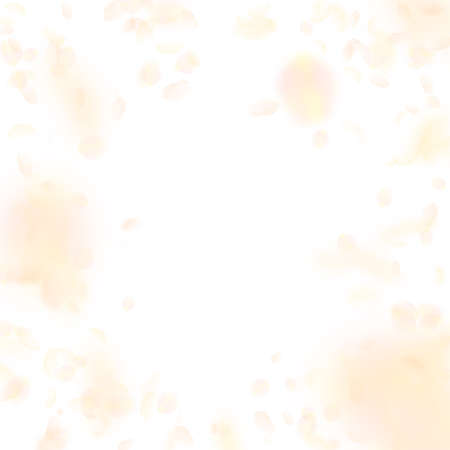 Yellow orange flower petals falling down. Admirable romantic flowers vignette. Flying petal on white square background. Love, romance concept. Dazzling wedding invitation.のイラスト素材