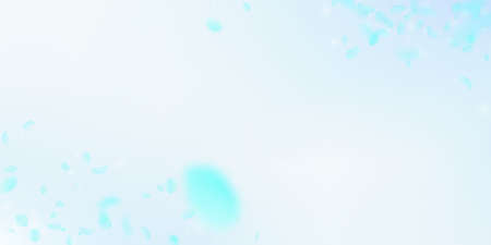 Turquoise flower petals falling down. Fantastic romantic flowers corners. Flying petal on blue sky wide background. Love, romance concept. Decent wedding invitation.のイラスト素材
