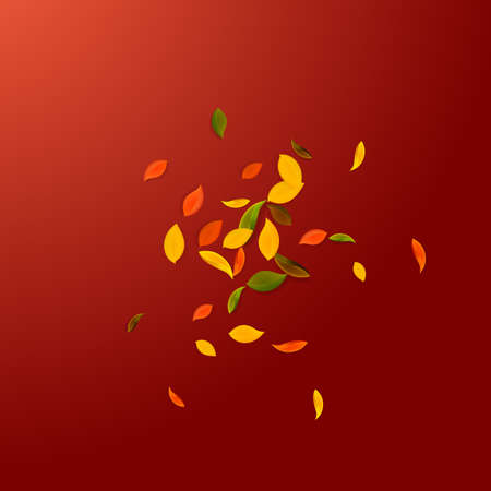 Falling autumn leaves. Red, yellow, green, brown chaotic leaves flying. Explosion colorful foliage on bold red background. Authentic back to school sale.のイラスト素材