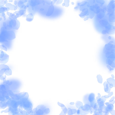 Dark blue flower petals falling down. Bizarre romantic flowers vignette. Flying petal on white square background. Love, romance concept. Creative wedding invitation.のイラスト素材