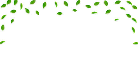 Falling green leaves. Fresh tea random leaves flying. Spring foliage dancing on yellow green background. Amusing summer overlay template. Decent spring sale vector illustration.のイラスト素材