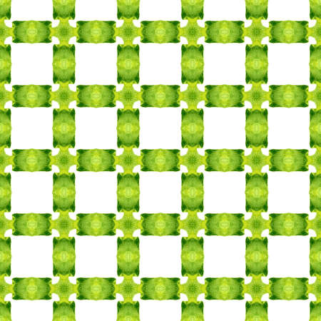 Watercolor summer ethnic border pattern. Green elegant boho chic summer design. Ethnic hand painted pattern. Textile ready graceful print, swimwear fabric, wallpaper, wrapping.の写真素材