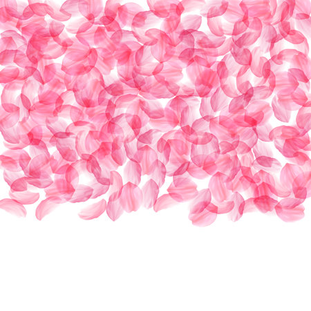 Sakura petals falling down. Romantic pink silky big flowers. Thick flying cherry petals. Top gradient square impressive vector background. Love, affection, romance concept.のイラスト素材