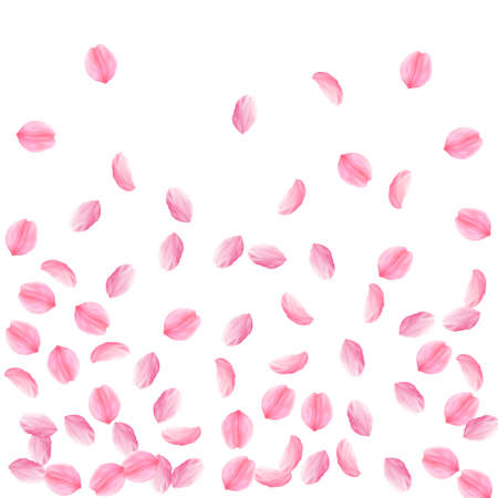Sakura petals falling down. Romantic pink silky medium flowers. Sparse flying cherry petals. Bottom gradient beauteous vector background. Love, affection, romance concept.のイラスト素材