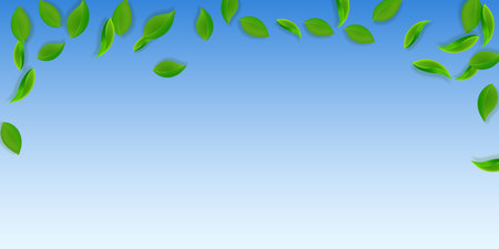 Falling green leaves. Fresh tea neat leaves flying. Spring foliage dancing on blue sky background. Amusing summer overlay template. Classic spring sale vector illustration.のイラスト素材