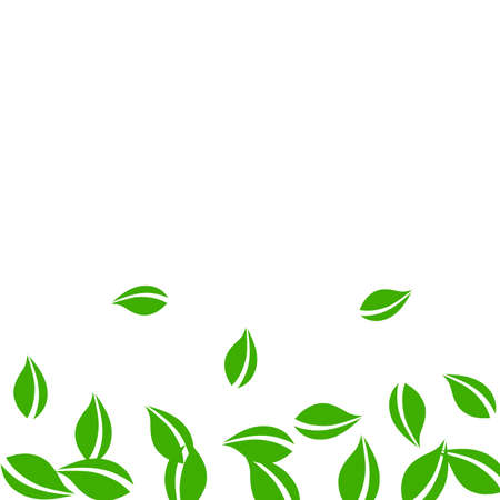 Falling green leaves. Fresh tea neat leaves flying. Spring foliage dancing on white background. Alive summer overlay template. Divine spring sale vector illustration.のイラスト素材