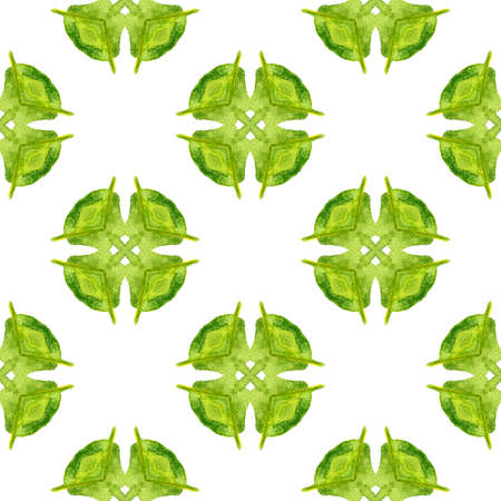 Watercolor summer ethnic border pattern. Green lovely boho chic summer design. Textile ready quaint print, swimwear fabric, wallpaper, wrapping.  Ethnic hand painted  pattern.の写真素材