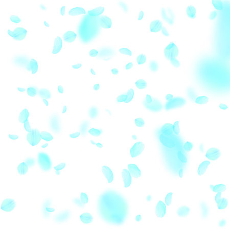 Turquoise flower petals falling down. Exquisite romantic flowers falling rain. Flying petal on white square background. Love, romance concept. Bewitching wedding invitation.のイラスト素材