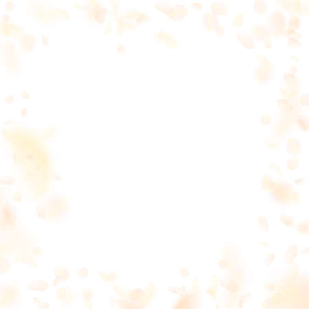 Yellow orange flower petals falling down. Dramatic romantic flowers frame. Flying petal on white square background. Love, romance concept. Bizarre wedding invitation.のイラスト素材