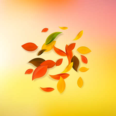 Falling autumn leaves. Red, yellow, green, brown chaotic leaves flying. Explosion colorful foliage on fine sunset background. Authentic back to school sale.のイラスト素材