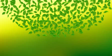 Falling green leaves. Fresh tea chaotic leaves flying. Spring foliage dancing on white background. Appealing summer overlay template. Lovely spring sale illustration.の写真素材