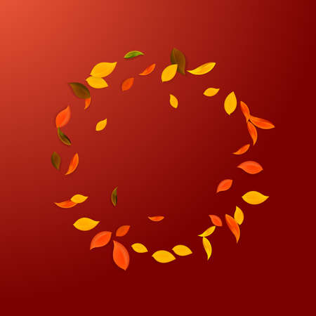 Falling autumn leaves. Red, yellow, green, brown chaotic leaves flying. Frame colorful foliage on...