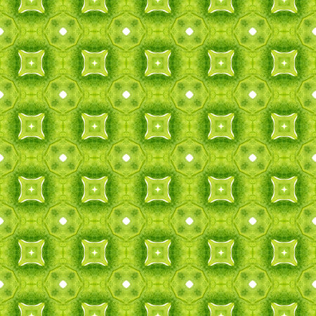 Hand drawn tropical seamless border. Green valuable boho chic summer design. Textile ready dazzling...