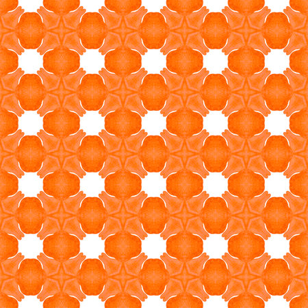 Summer exotic seamless border. Orange pleasant boho chic summer design. Textile ready creative print, swimwear fabric, wallpaper, wrapping. Exotic seamless pattern.の写真素材