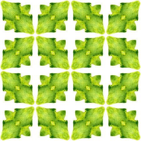 Watercolor ikat repeating tile border. Green fresh boho chic summer design. Ikat repeating swimwear design. Textile ready beauteous print, swimwear fabric, wallpaper, wrapping.の写真素材