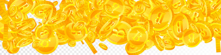 Bitcoin coins falling. Cryptocurrency scattered gold BTC coins. Internet currency. Great business success concept. Panoramic vector illustration.のイラスト素材