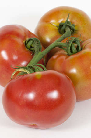 four tomatoesの写真素材