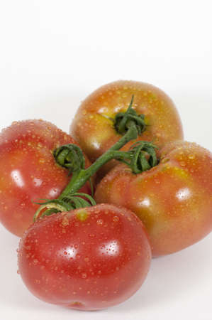 four tomatoes and waterの写真素材
