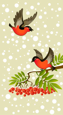 two red bullfinches on winter backgroundのイラスト素材