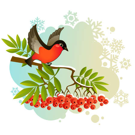 red bullfinch on winter backgroundのイラスト素材