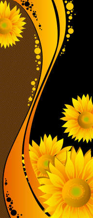 beautiful yellow Sunflowers on black backgroundのイラスト素材