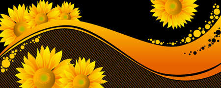 beautiful yellow Sunflowers on black backgroundのイラスト素材