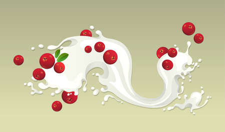 Milk splash with cranberries on light background のイラスト素材