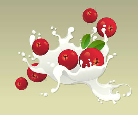 Milk splash with cranberries on light background のイラスト素材