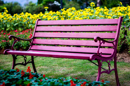 Chairs in flower gardenの写真素材