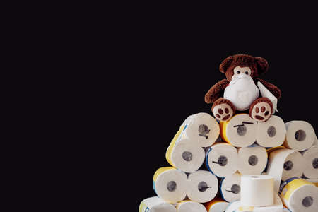 Panic, fear and world wide toilet paper crisis related to the outbreak of the COVID-19 coronavirus....