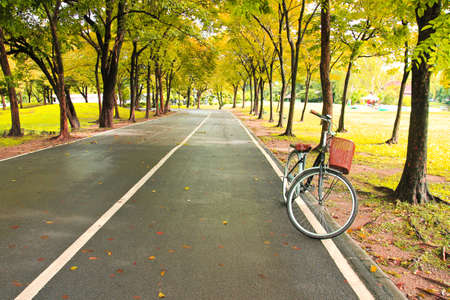 The bicycle on path of parkの写真素材