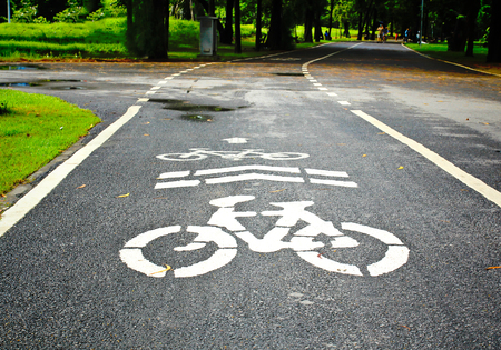Bicycle Lanes in Parkの写真素材