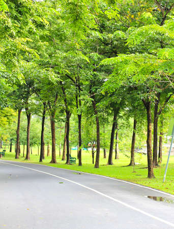 Green city parkの写真素材