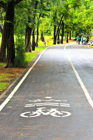 Bicycle Lanes in Parkの写真素材