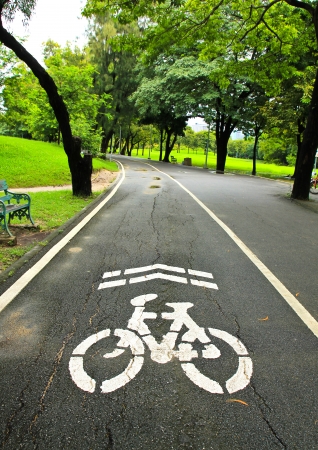 Bicycle Lanes in Parkの写真素材